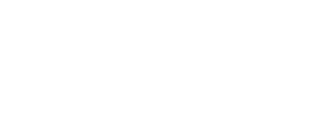 Phosphorus Cybersecurity white logo