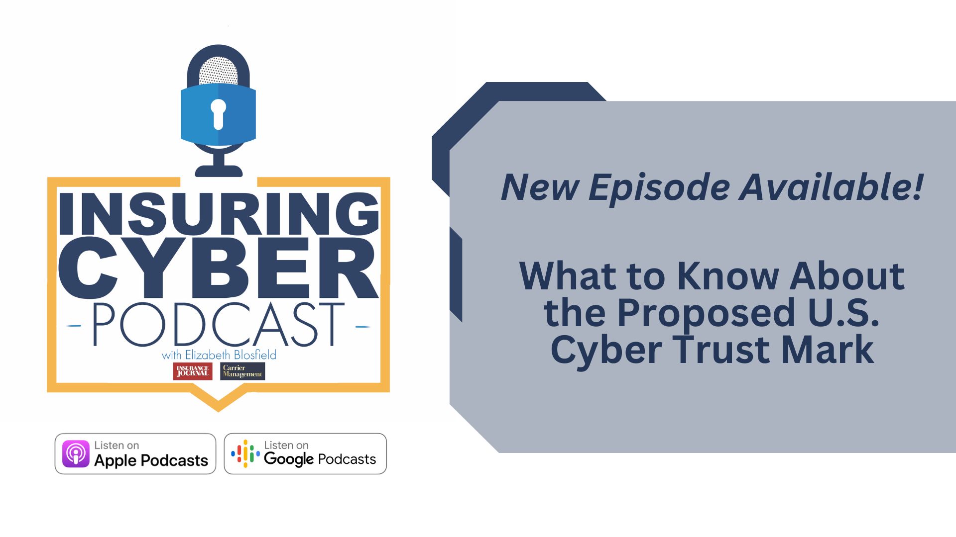 Insuring Cyber Podcast: Sonu Shankar on the Proposed U.S. Cyber Trust Mark